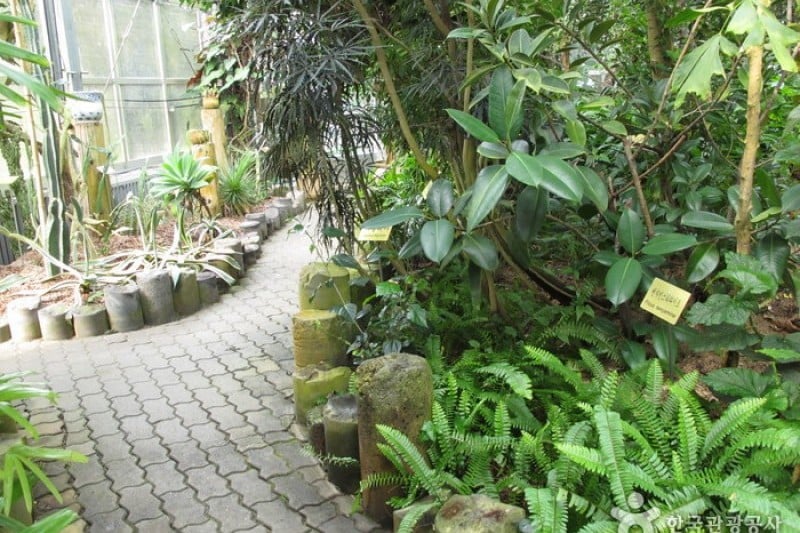 Halla Arboretum  (8/18)