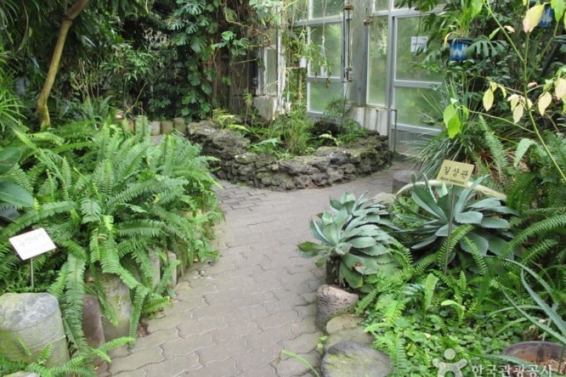 Halla Arboretum  (9/18)