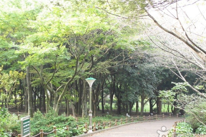 Halla Arboretum  (12/18)