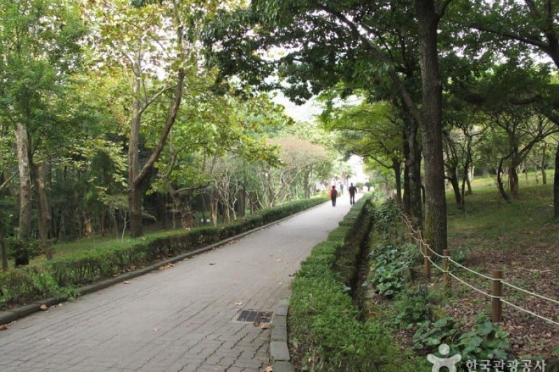 Halla Arboretum  (13/18)