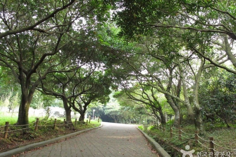 Halla Arboretum  (14/18)