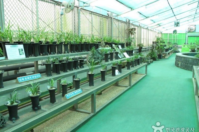 Halla Arboretum  (16/18)