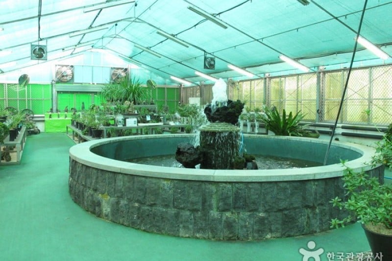 Halla Arboretum  (17/18)