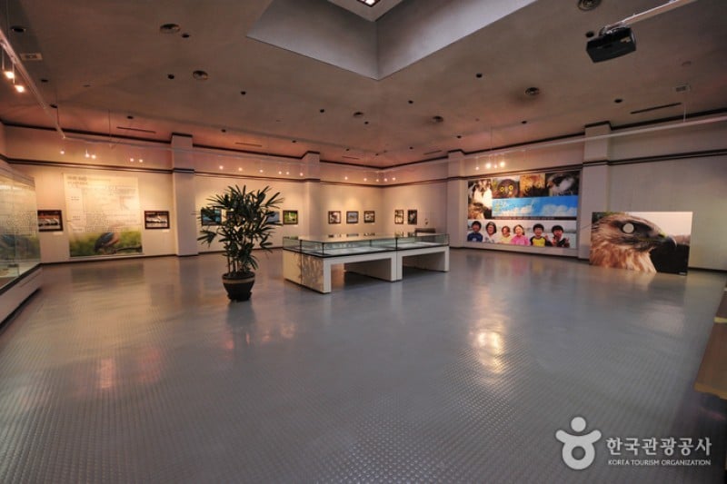 Jeju Folklore &amp; Natural History Museum  (2/6)