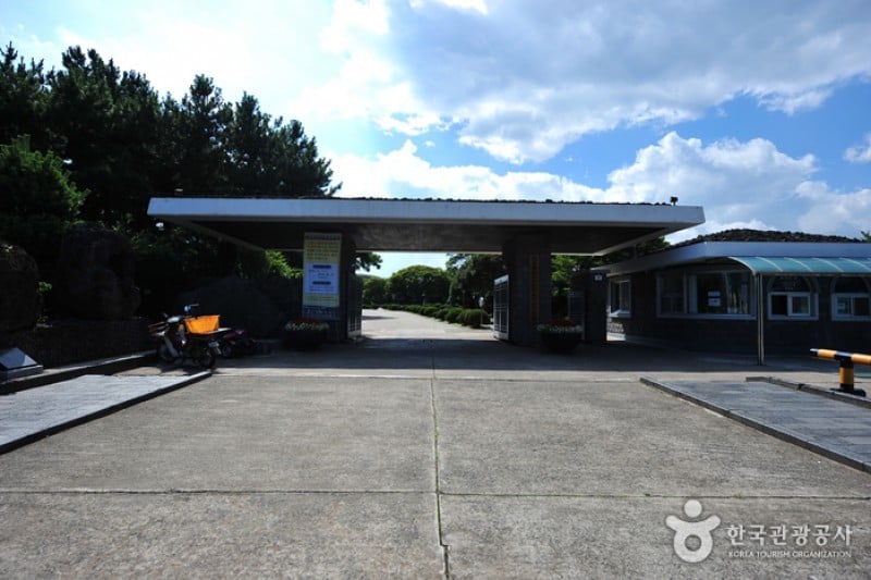Jeju Folklore &amp; Natural History Museum  (5/6)