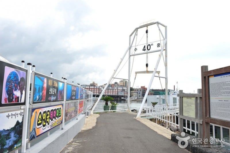 Seogwipo Pleasure Boat  (4/4)