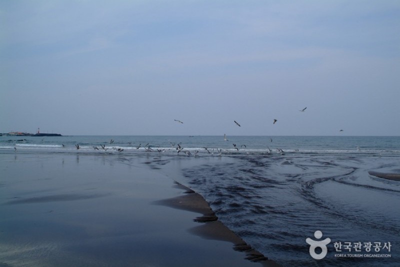 Samyang Black Sand Beach  (1/17)