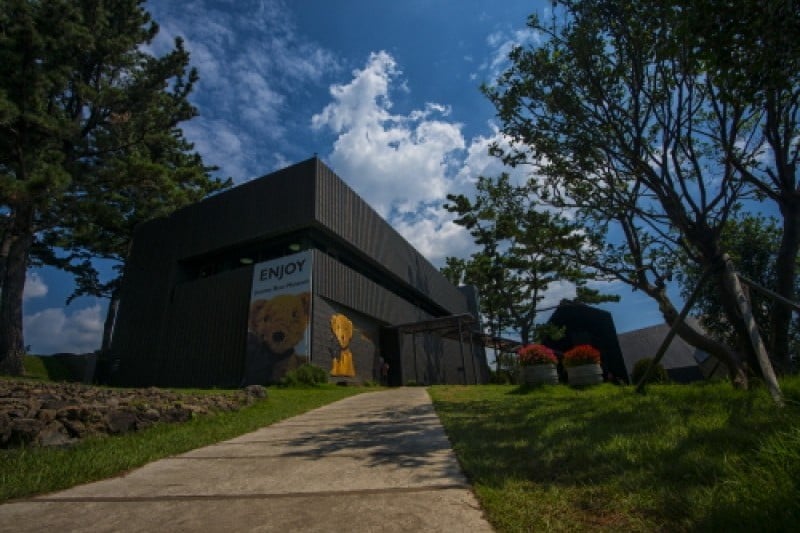 Joanne Bear Museum  (2/9)