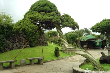Jeju Bunjae Artpia Museum 