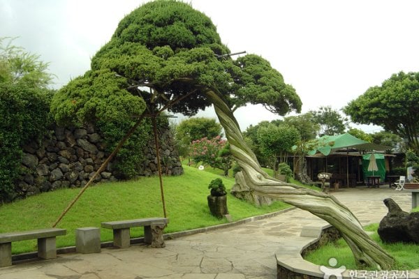 Jeju Bunjae Artpia Museum