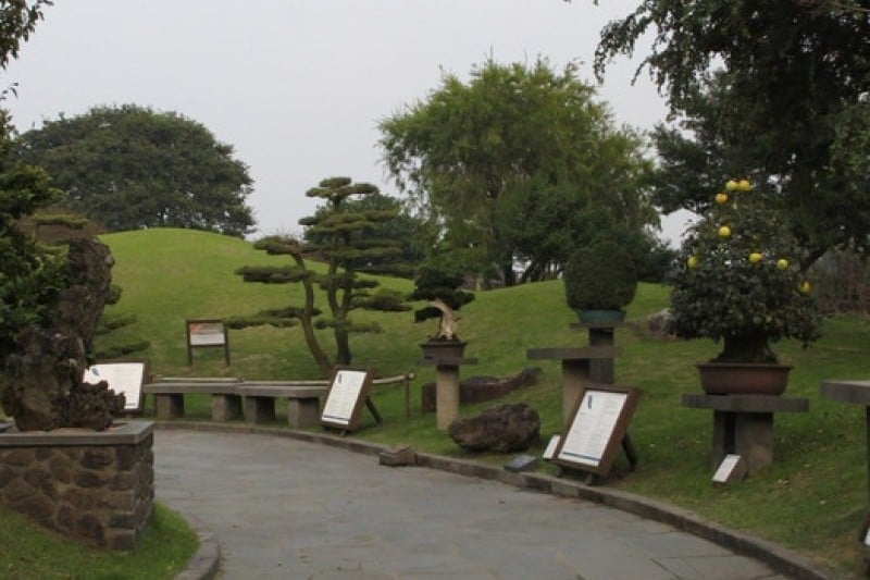 Jeju Bunjae Artpia Museum  (11/27)