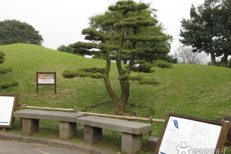 Jeju Bunjae Artpia Museum  (12/27)