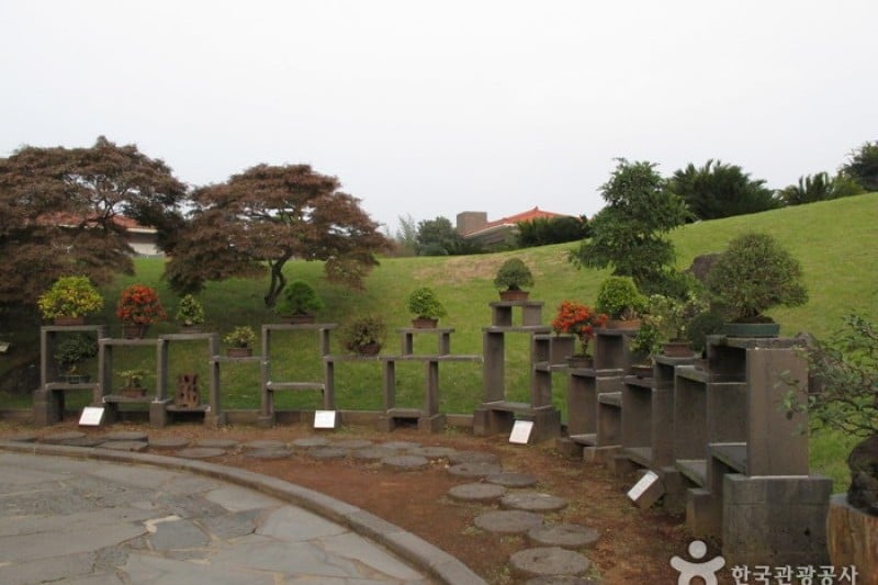 Jeju Bunjae Artpia Museum  (14/27)