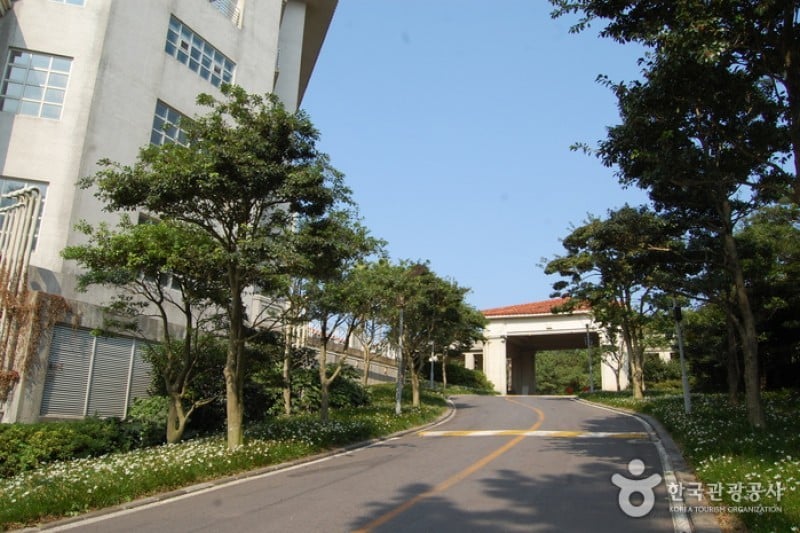 Jeju Shineville Luxury Resort  (1/6)
