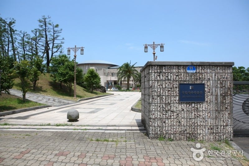 Jeju National Museum  (8/12)