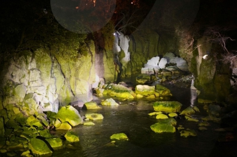 Yongyeon Pond  (6/13)
