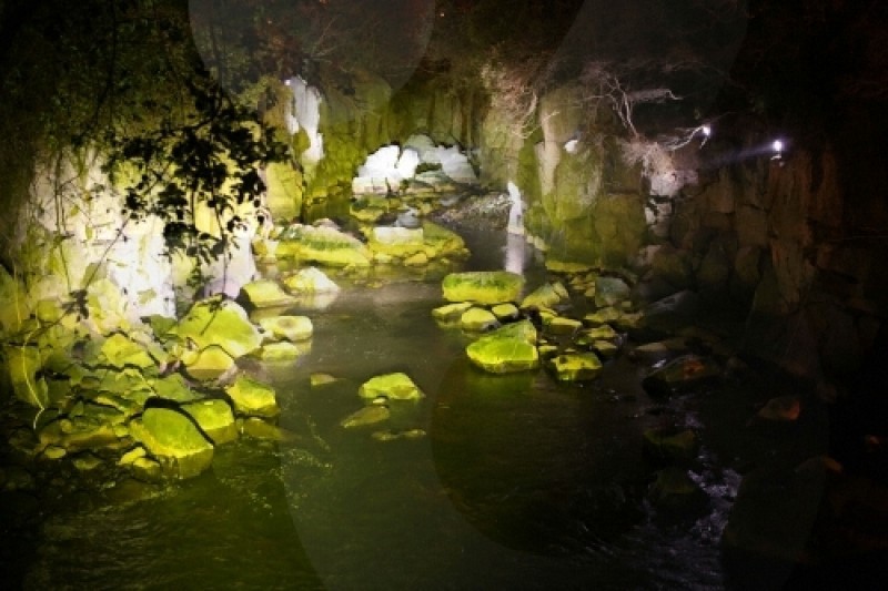 Yongyeon Pond  (7/13)