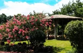 Hueree Natural Park 