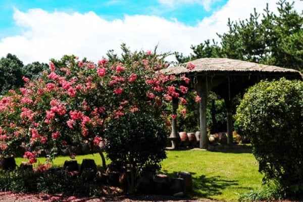 Hueree Natural Park
