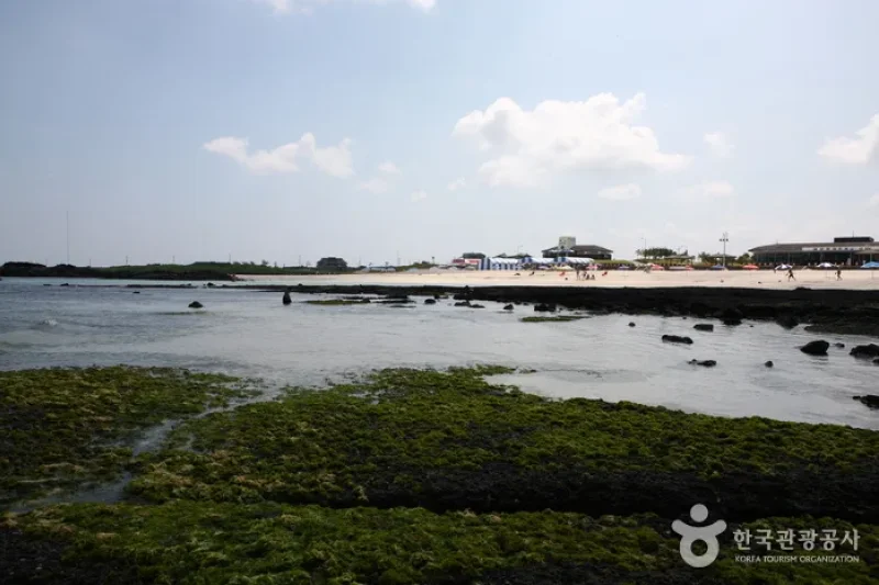 Gimnyeong Seonsegi Beach  (11/20)