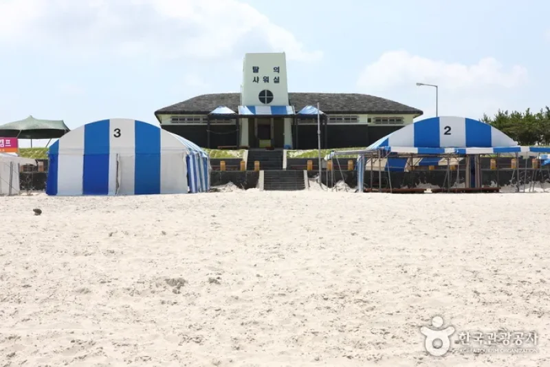 Gimnyeong Seonsegi Beach  (15/20)