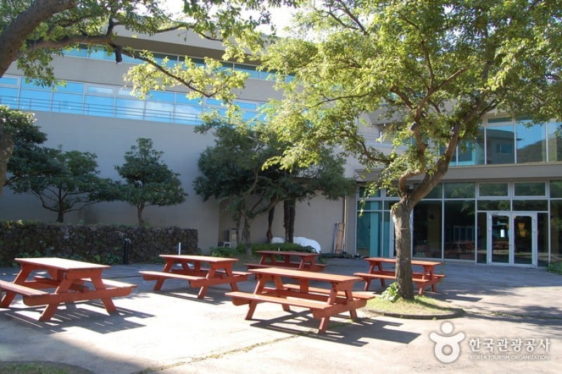 Hanwha Resort - Jeju  (13/45)