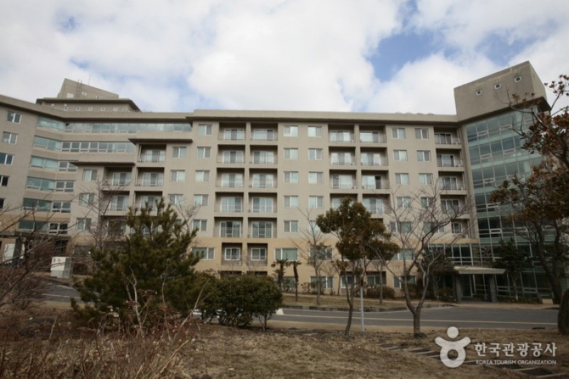 Hanwha Resort - Jeju  (21/45)