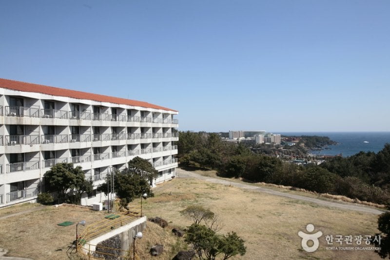 Corea Condo - Jeju Branch  (2/12)