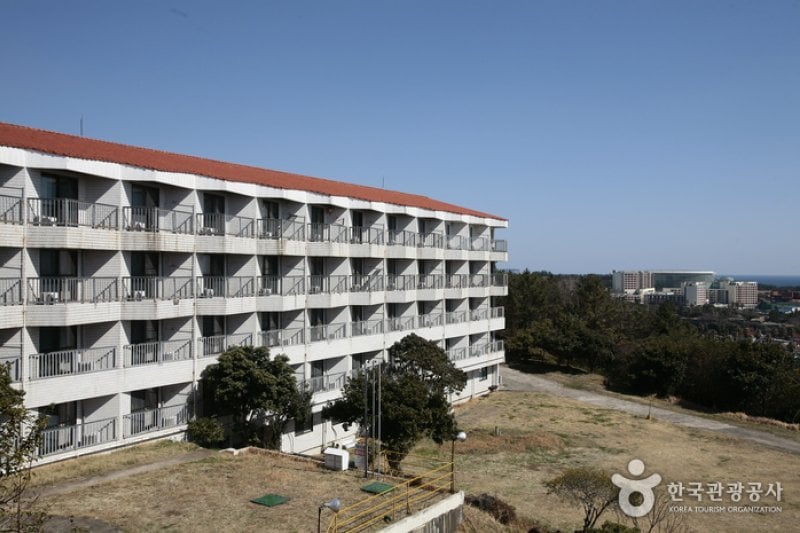 Corea Condo - Jeju Branch  (3/12)