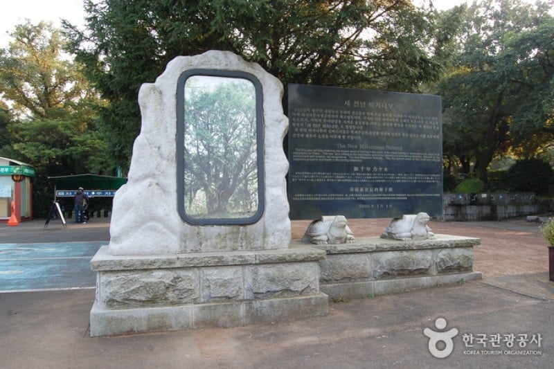 Bijarim Forest  (3/27)