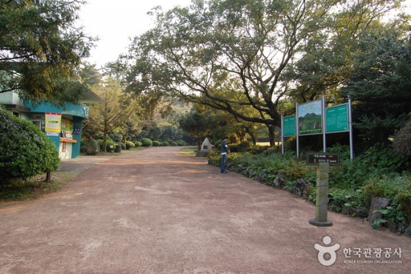 Bijarim Forest  (4/27)
