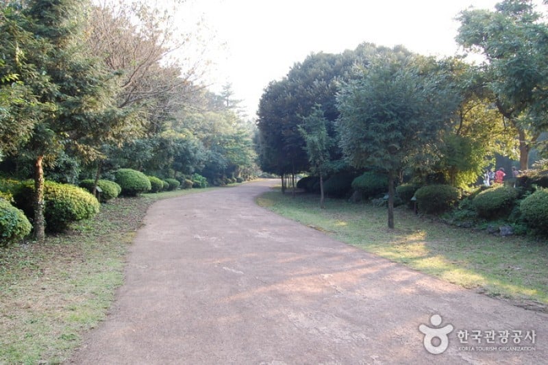 Bijarim Forest  (5/27)