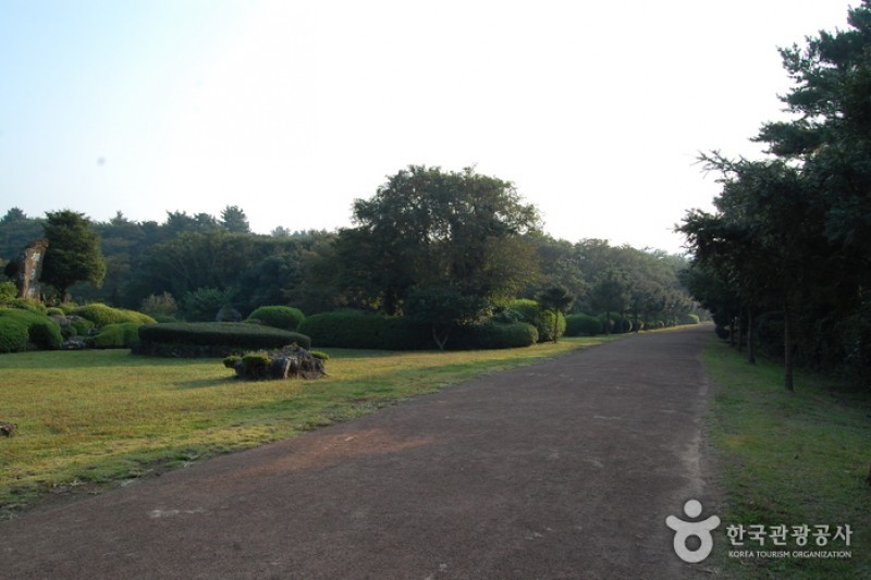 Bijarim Forest  (6/27)