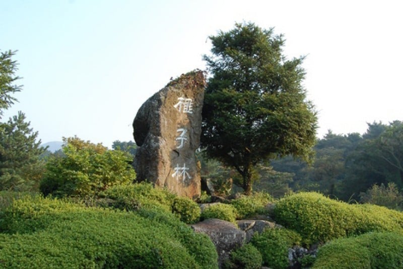 Bijarim Forest  (7/27)
