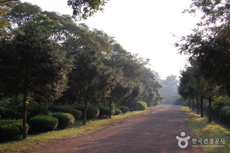 Bijarim Forest  (8/27)