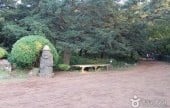 Bijarim Forest 
