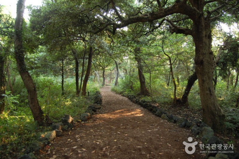 Bijarim Forest  (16/27)