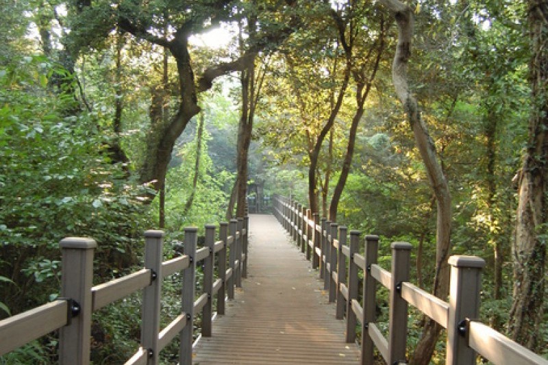 Bijarim Forest  (17/27)