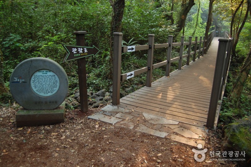 Bijarim Forest  (18/27)