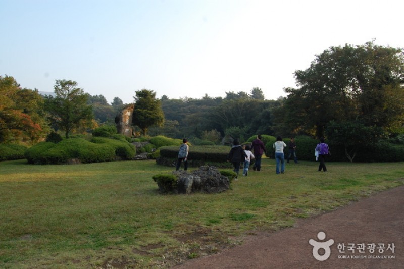 Bijarim Forest  (24/27)