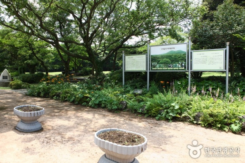 Bijarim Forest  (25/27)