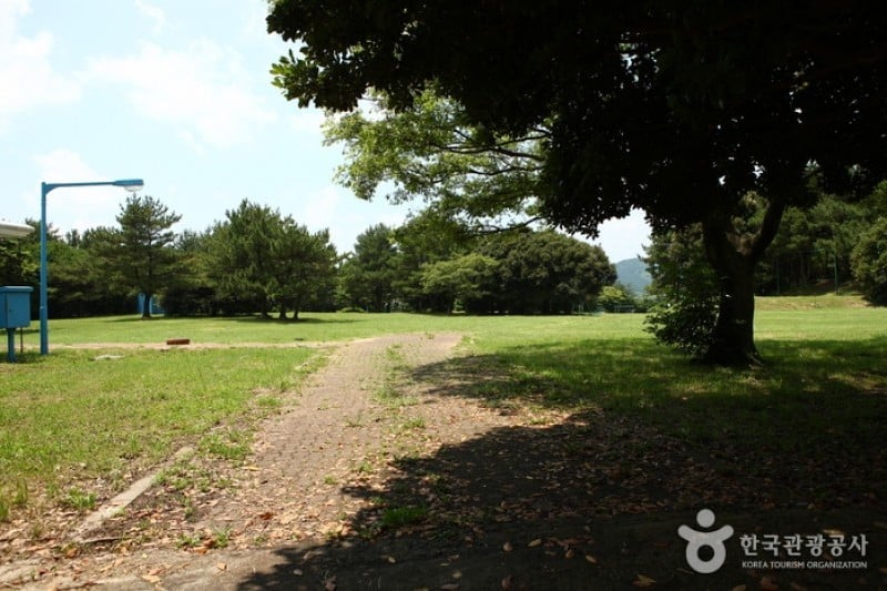 Bijarim Forest  (27/27)