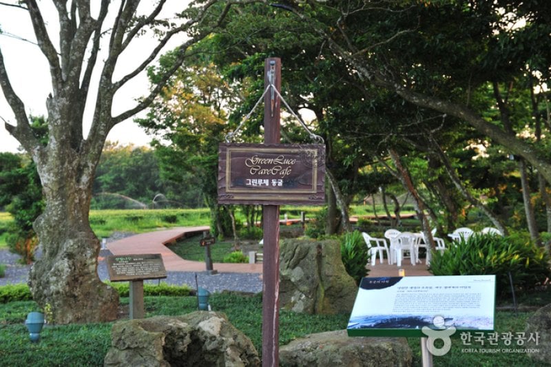 Daheeyeon Garden  (7/11)