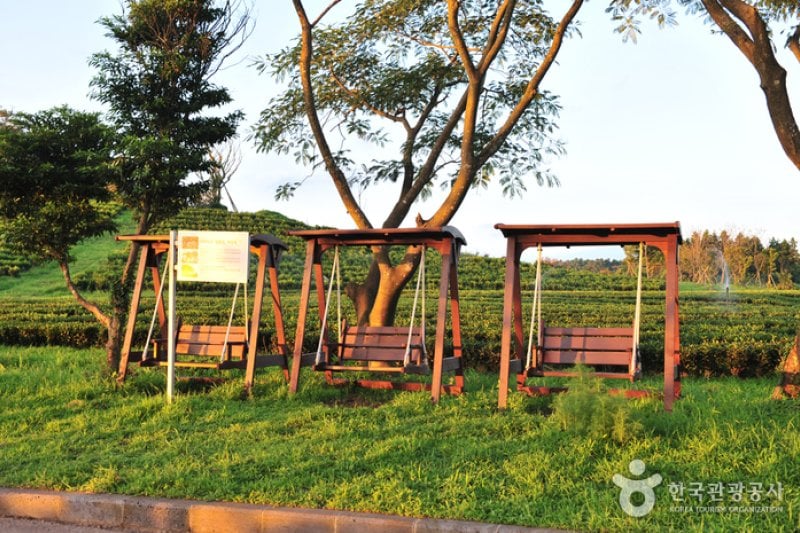 Daheeyeon Garden  (8/11)