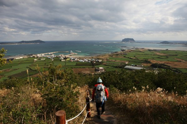 Jeju Olle Walking Festival