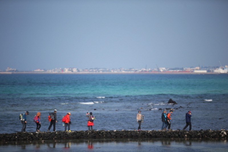 Jeju Olle Walking Festival  (4/5)