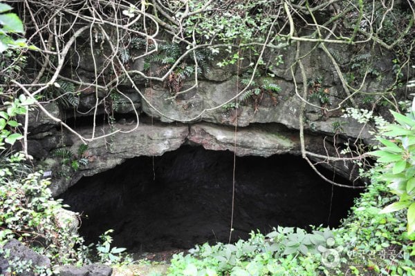 Gimnyeongsagul Cave [UNESCO World Heritage]