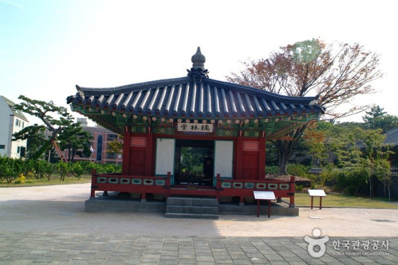 Jeju Mokgwana  (2/5)