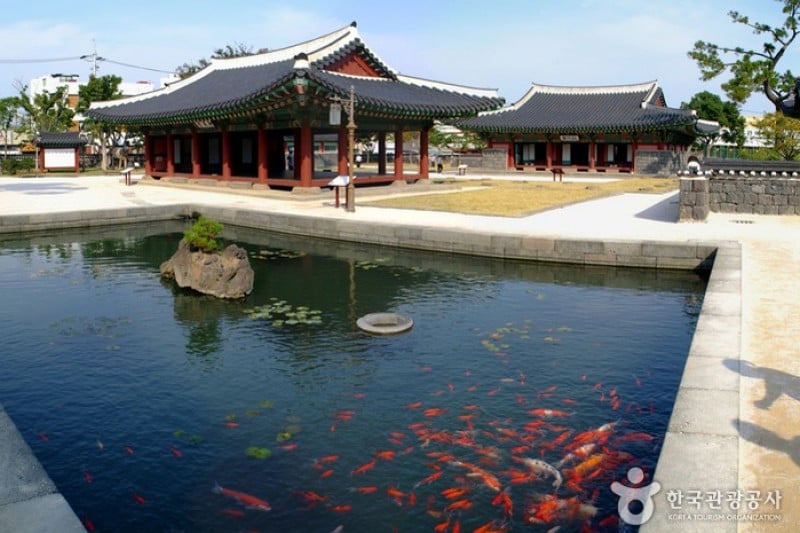 Jeju Mokgwana  (5/5)
