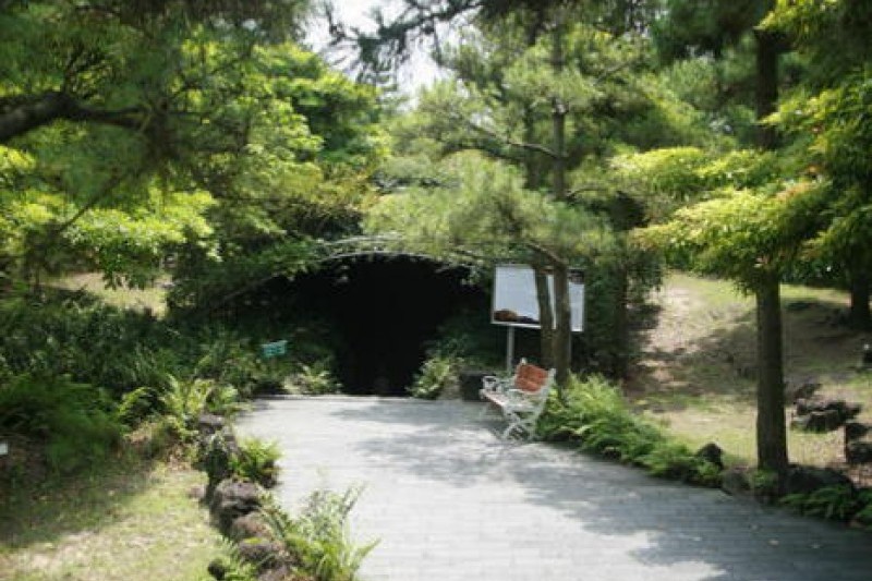Ssangyonggul Cave(Hallim Park)  (4/4)